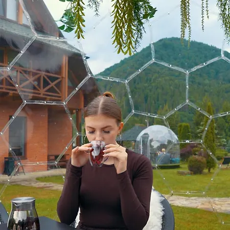 медова *