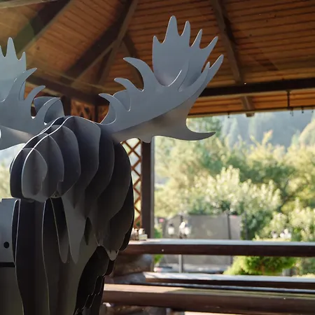 медова Hotel *